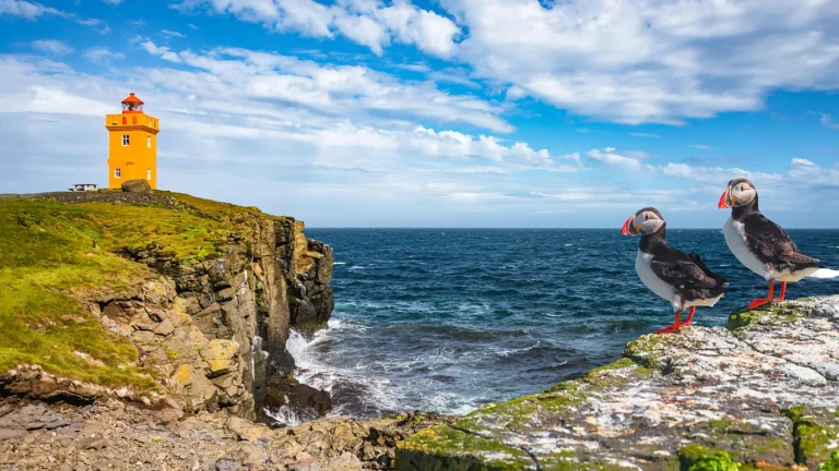 Grímsey: The Arctic island with 20 people and one million birds